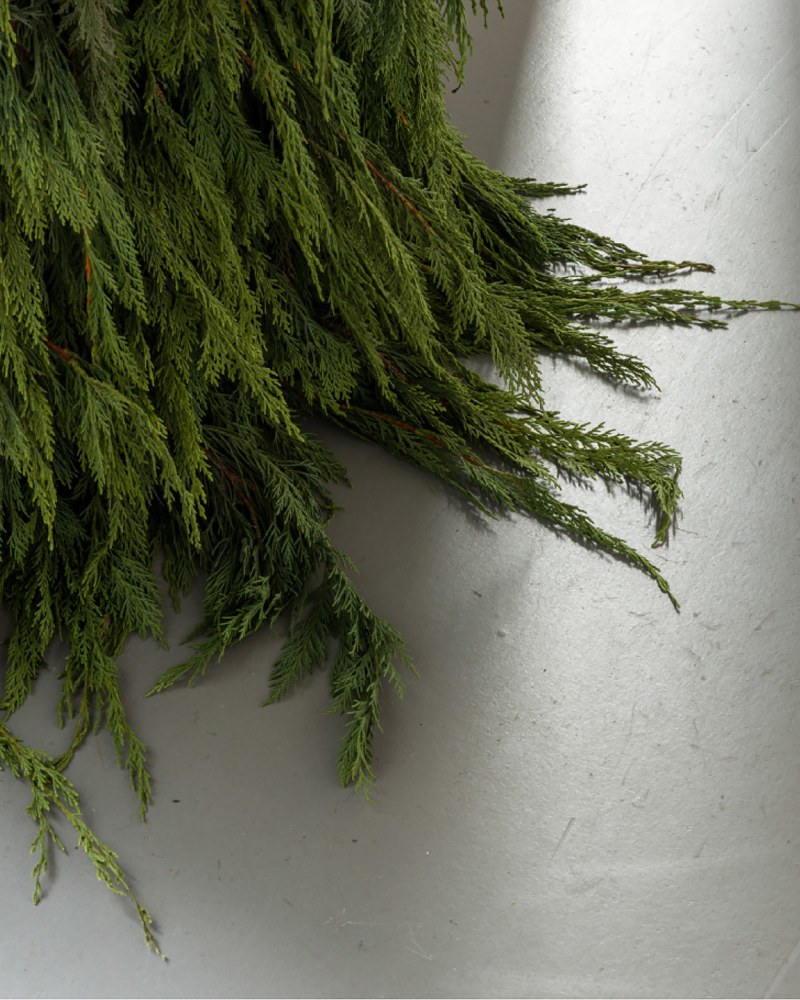 Installation view, Trisha Donnelly, MMK, Frankfurt, 2025