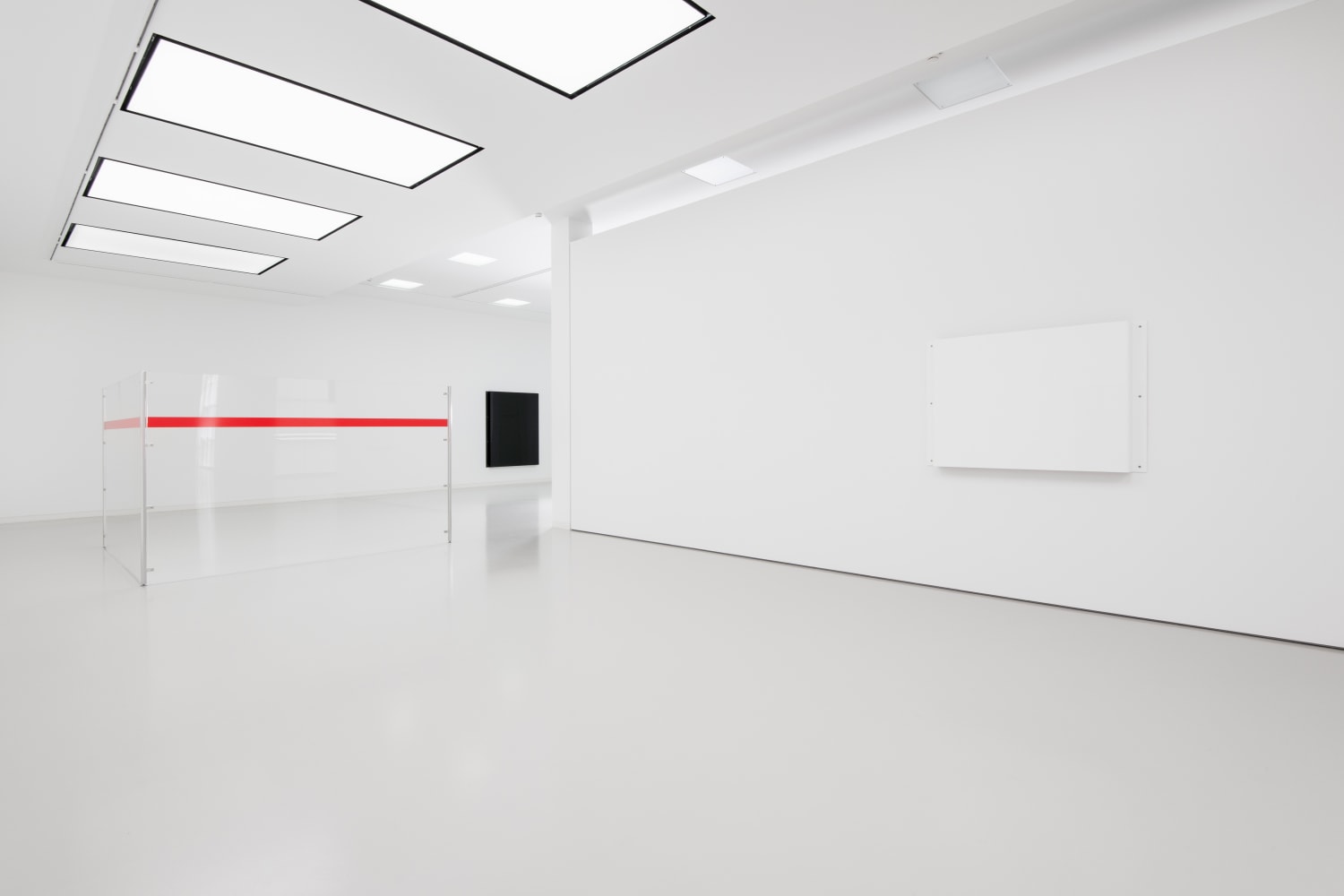 Installation view of wall works by Gerwald Rockenschaub