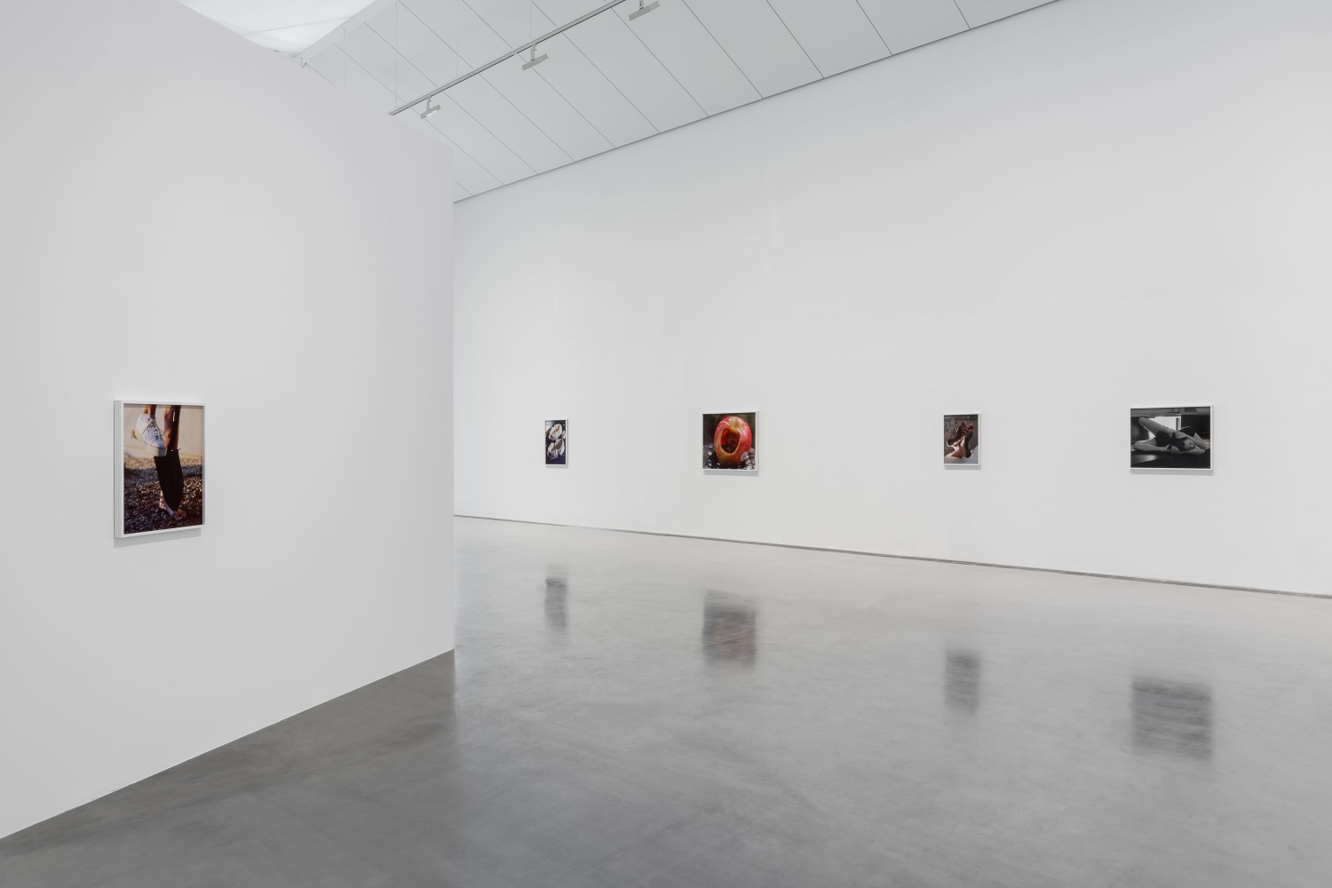 Installation view, Torbj&amp;oslash;rn R&amp;oslash;dland, Songs for the Sun, Yuz Museum, Shanghai, 2025