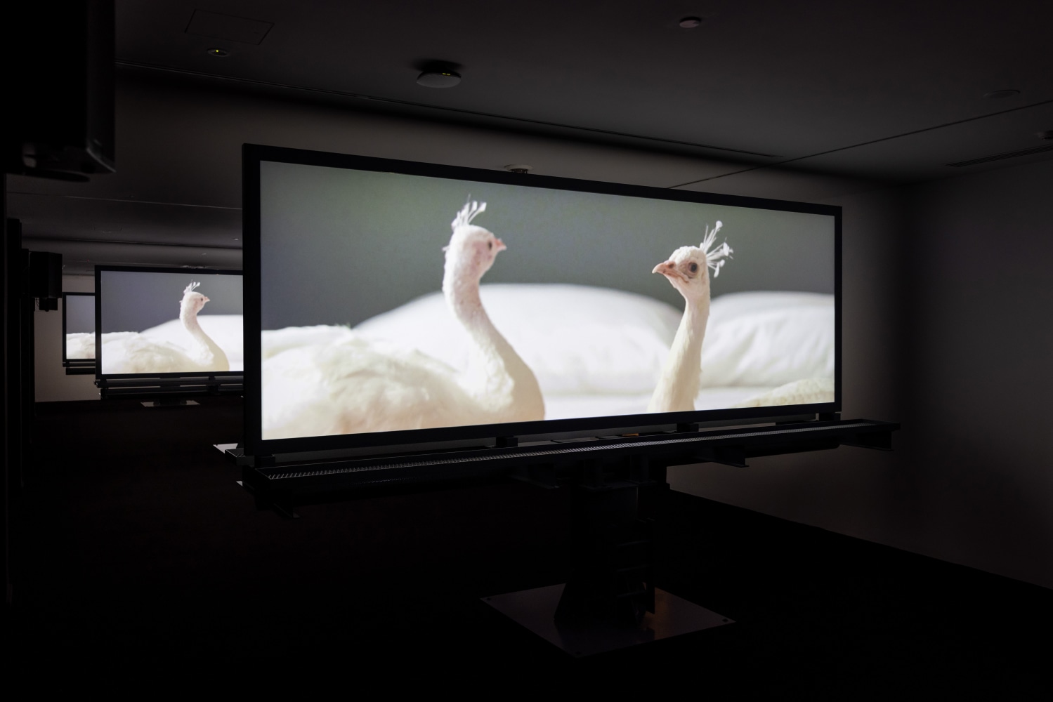 Installation view of works by Doug Aitken