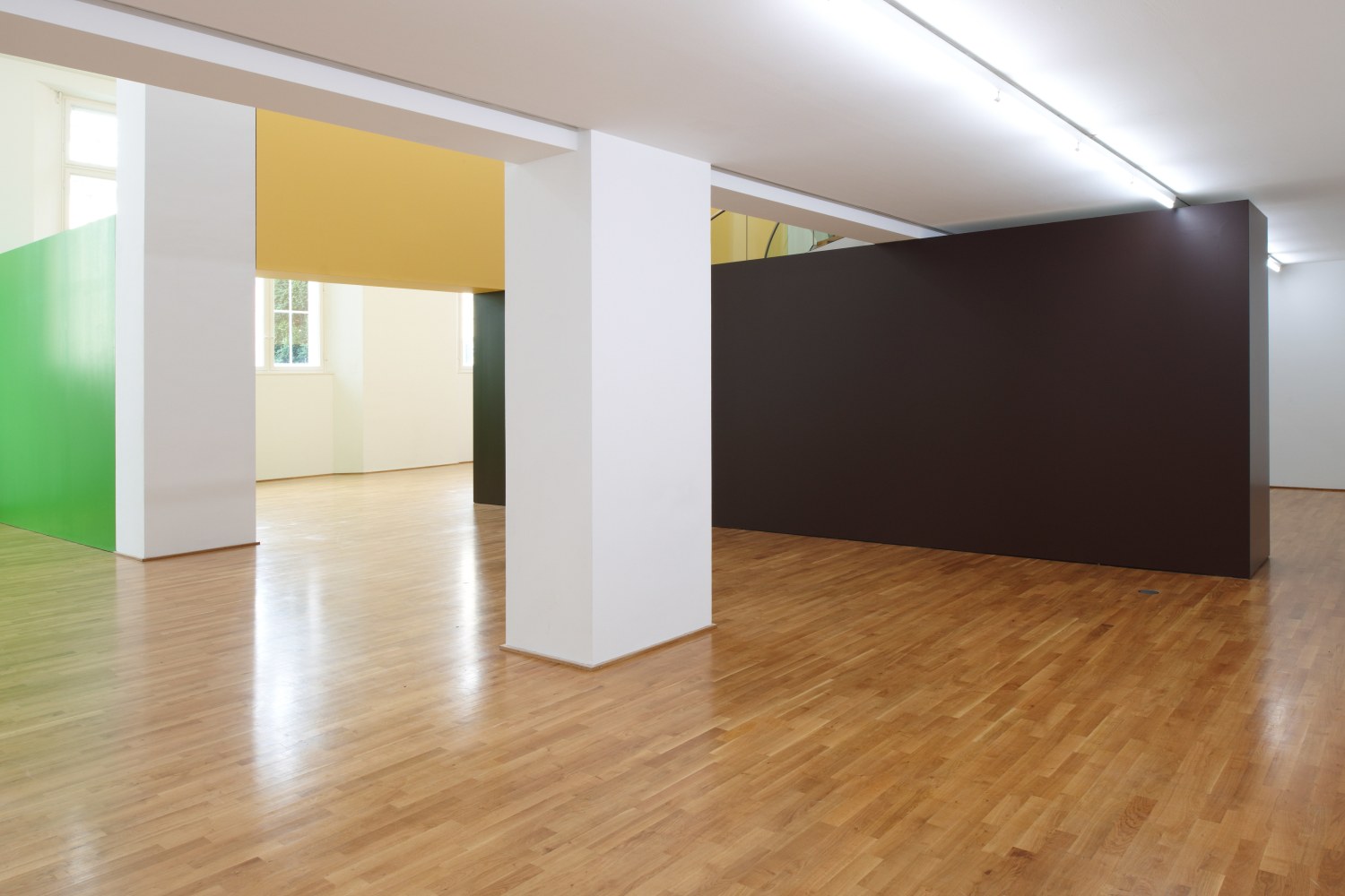 Installation view of wall works by Gerwald Rockenschaub