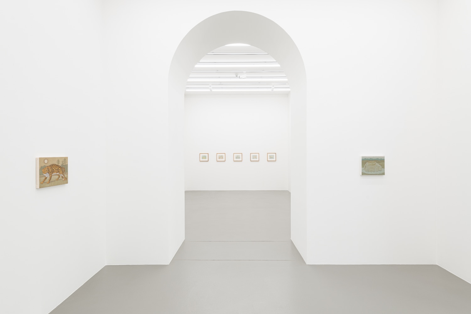 installation view of paintings and drawings by John Dilg