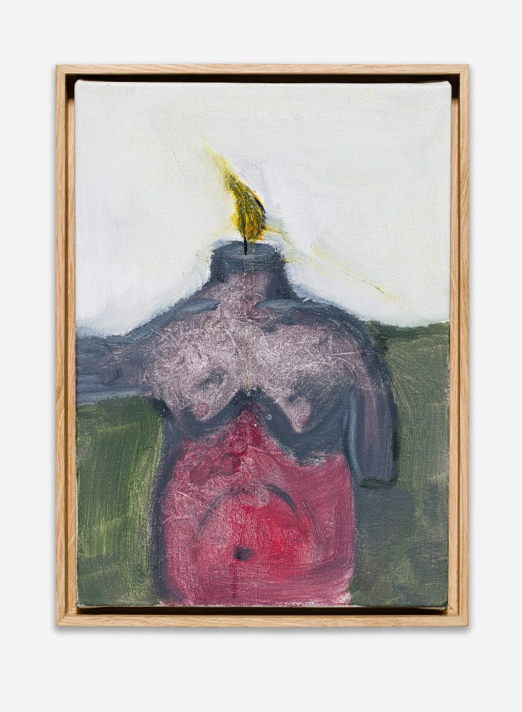 Untitled

2025

Oil on Canvas

Image 35 x 25 cm / 13 3/4 x 9 7/8 in

Frame 37.5 x 27.5 x 3.5 cm / 14 7/8 x 10 7/8 x 1 3/8 in

&amp;copy; Tobias Pils