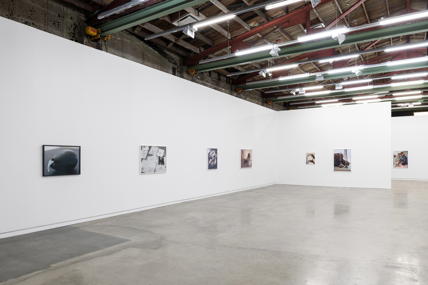 Installation view of photographies by Torbjørn Rødland