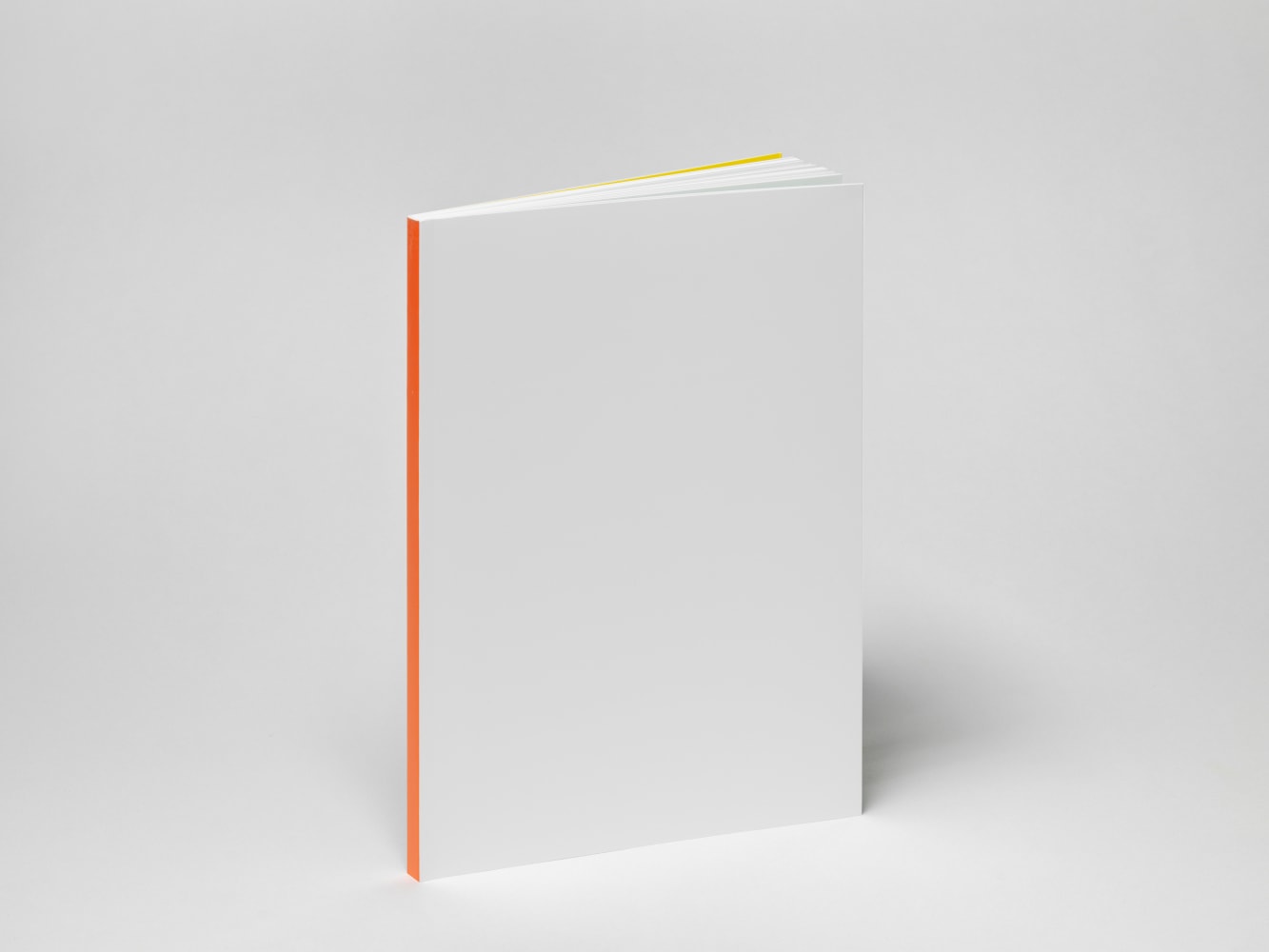 Image of Pope.L, Adam Pendleton publication