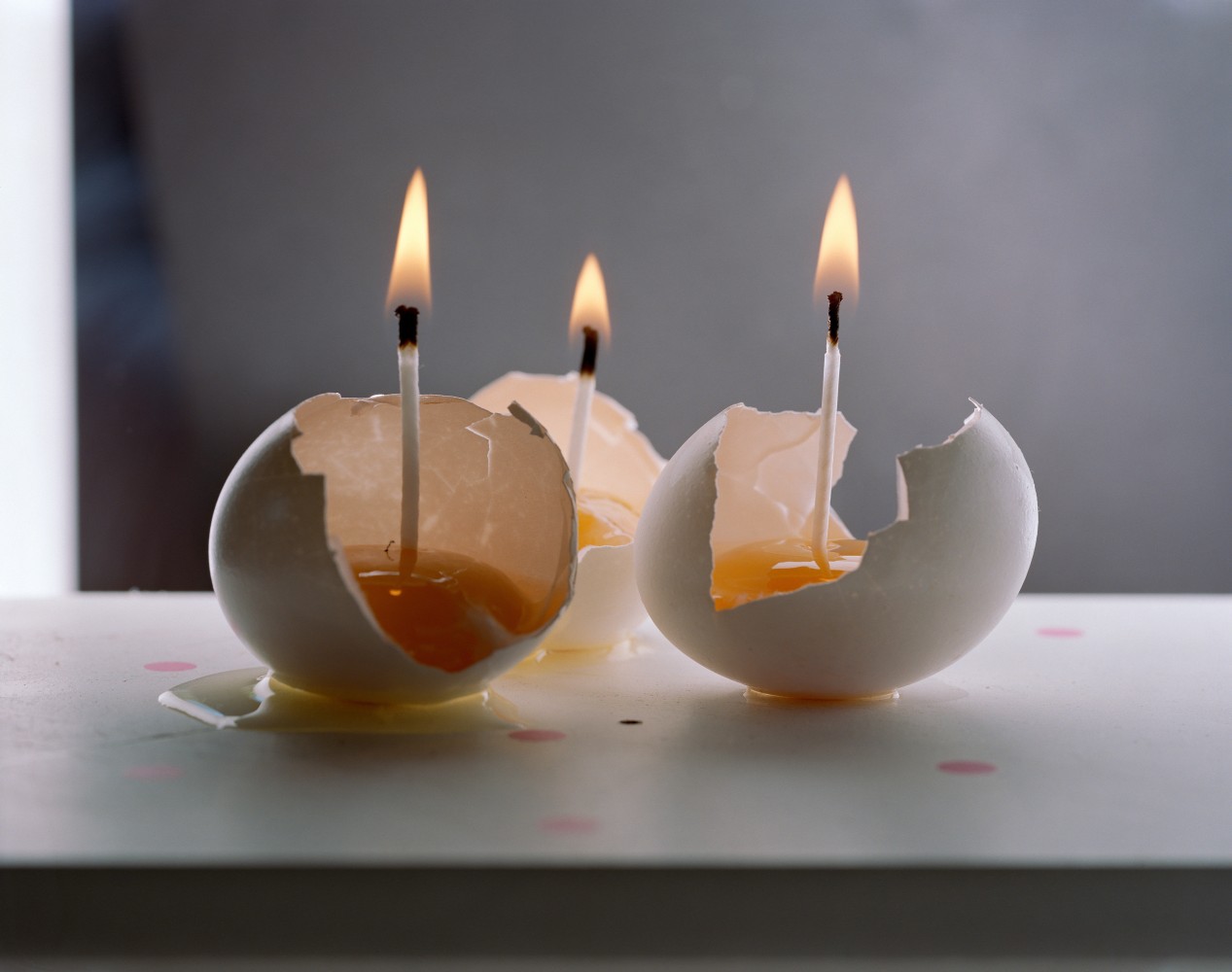 Torbjørn Rødland Eggs 2019 Chromogenic print