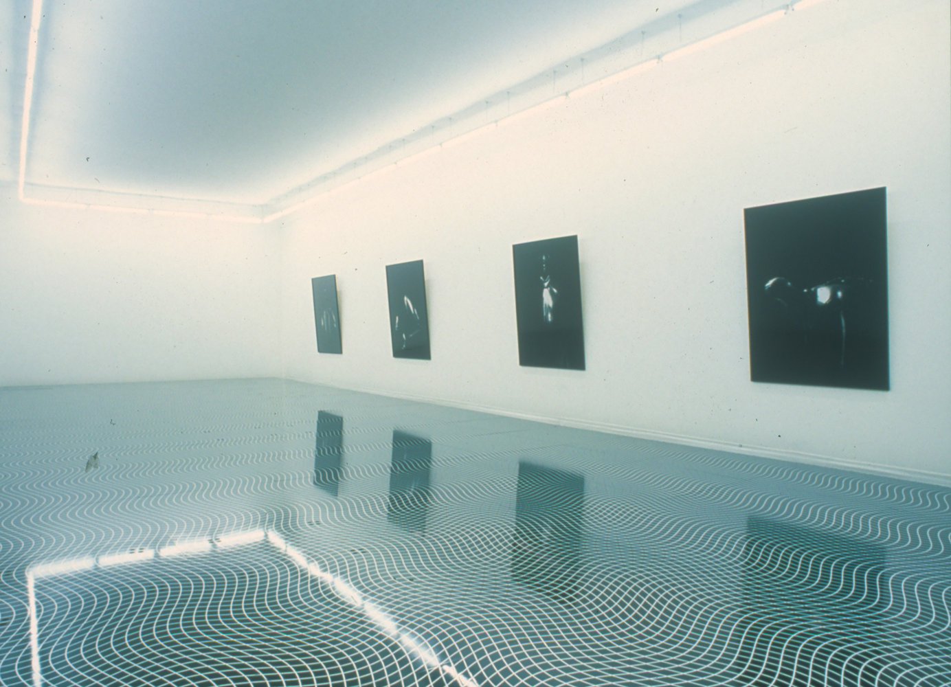 Installation view of paintings by Ugo Rondinone