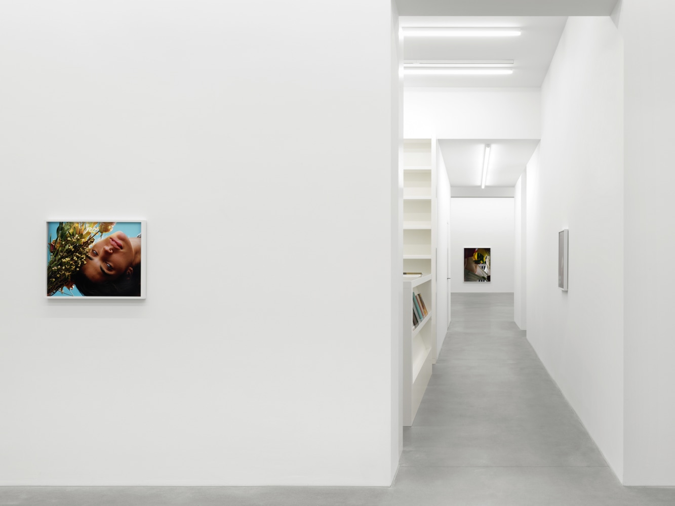 Installation view of Torbjørn Rødland photography and film exhibition