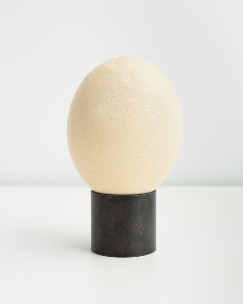 egg sculpture by Sarah Ortmeyer