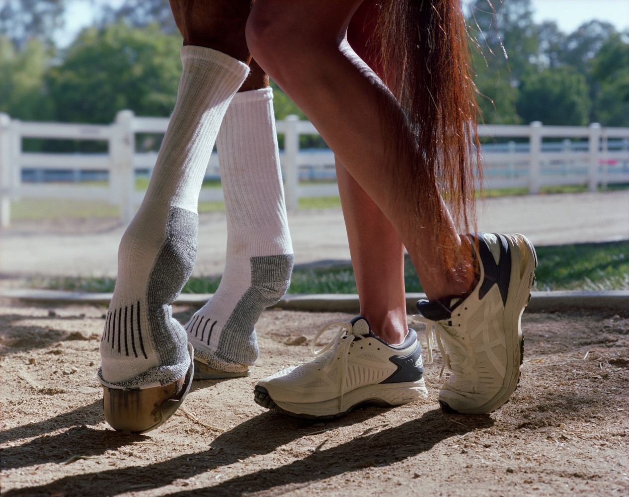 Torbjørn Rødland Socks, Shoes and Tail 2020 Chromogenic print