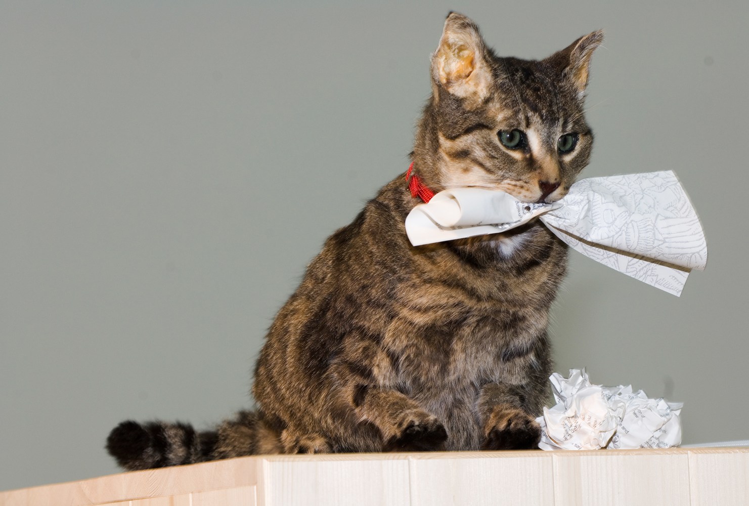 Installation view of sculptures by Liam Gillick