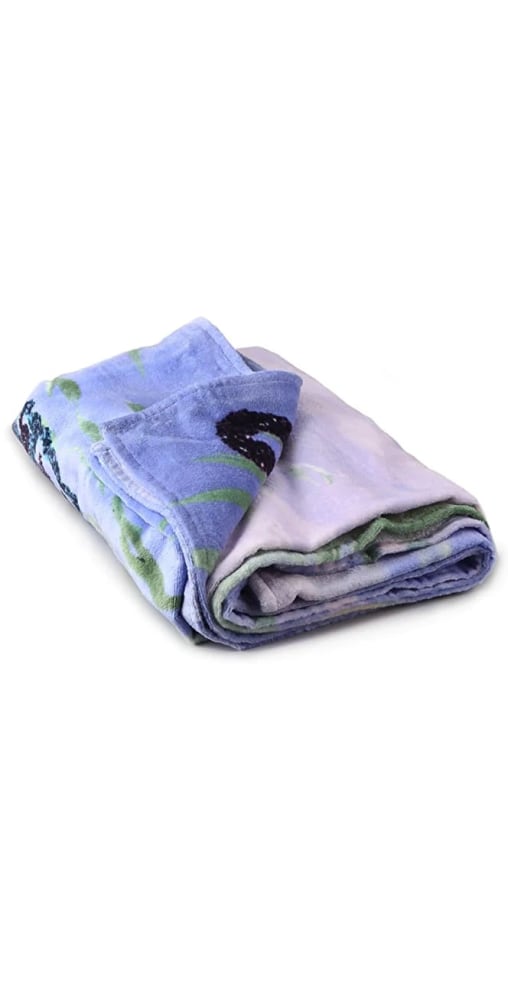 images of Beach towel by Karen Kilimnik