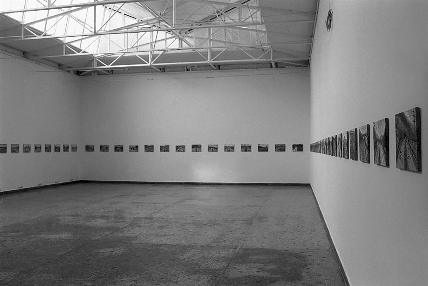 Installation view of paintings by Jean-Frédéric Schnyder