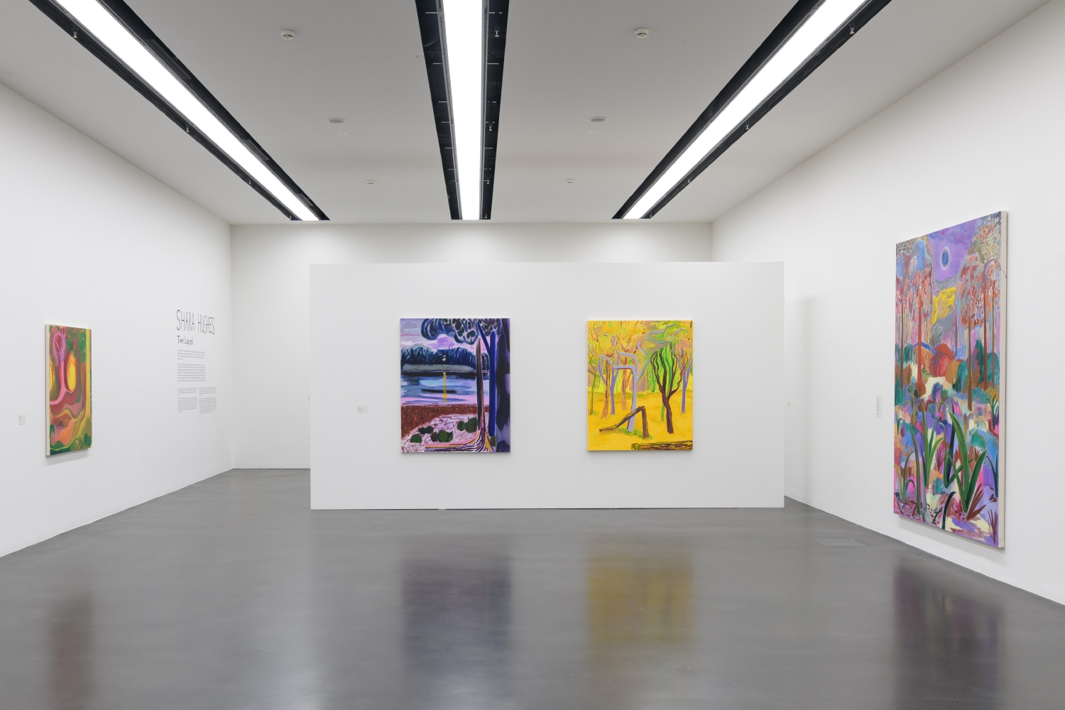 installation view of colorful paintings by Shara Hughes