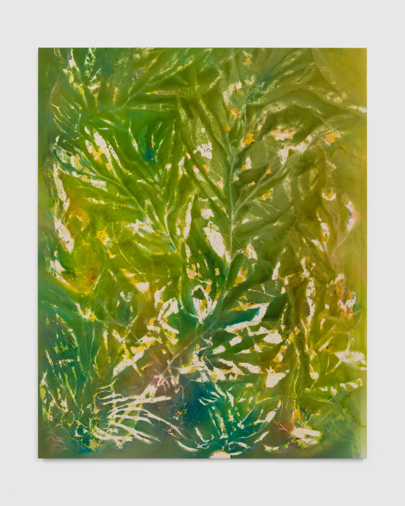 Moon on the Water (Big Sur)

2025

152.5 x 122 cm / 60 x 48 in

&amp;copy; Sam Falls