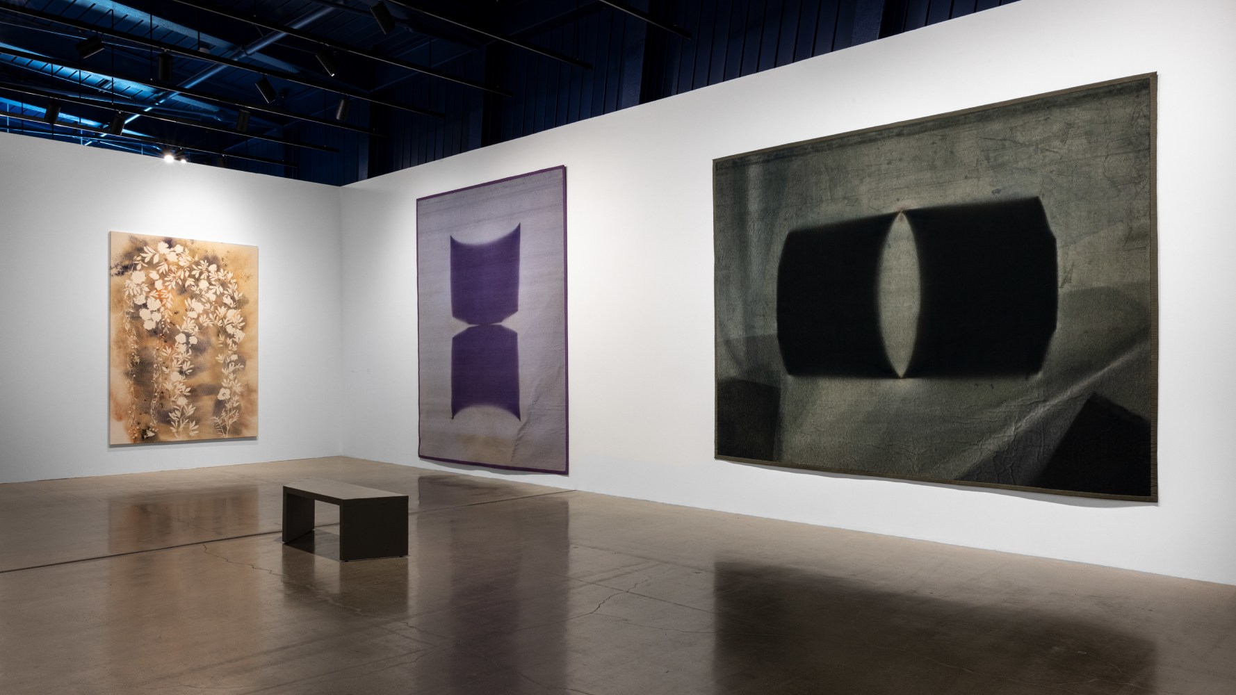 installation view sam falls cleveland