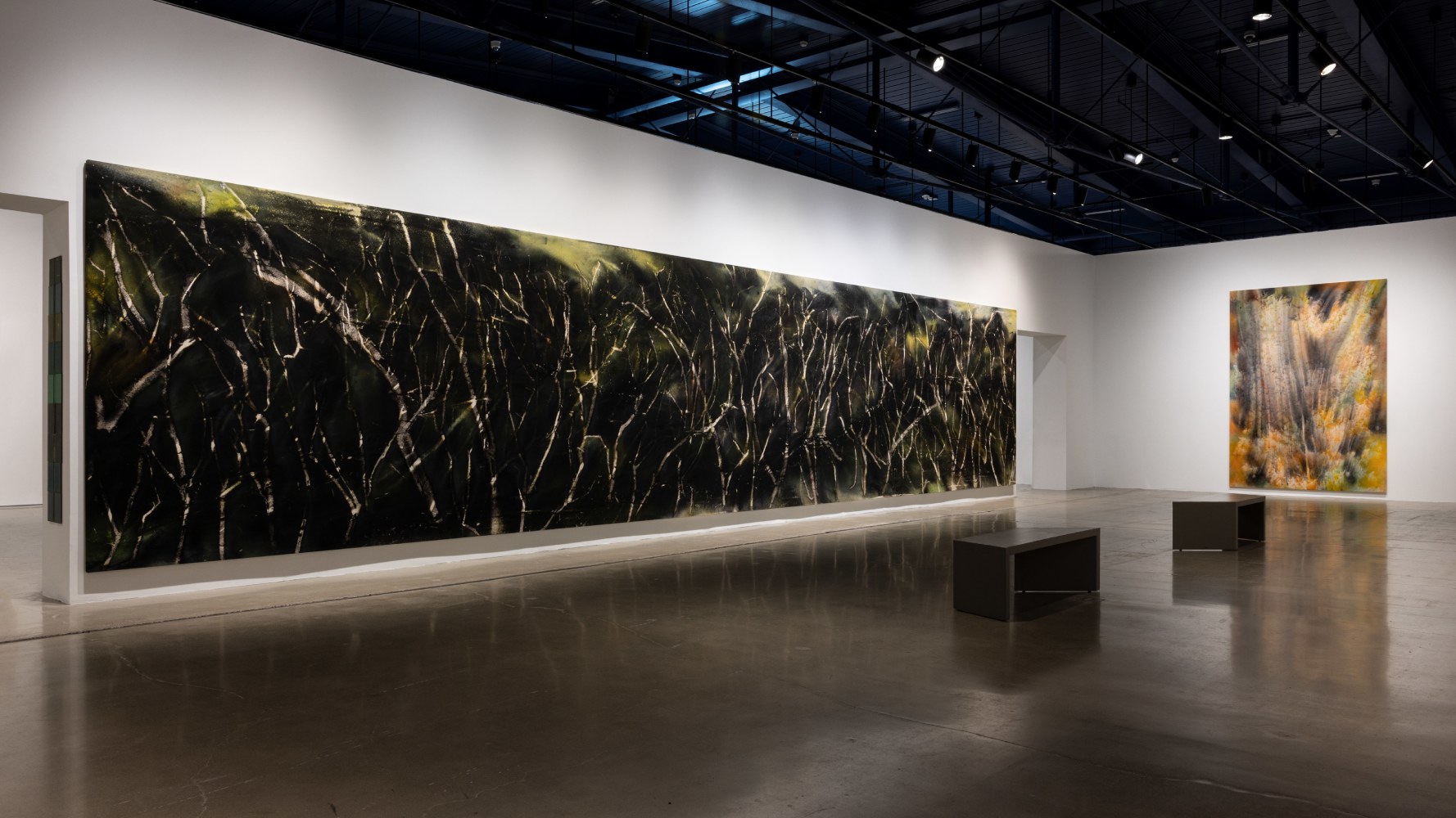 installation view sam falls cleveland