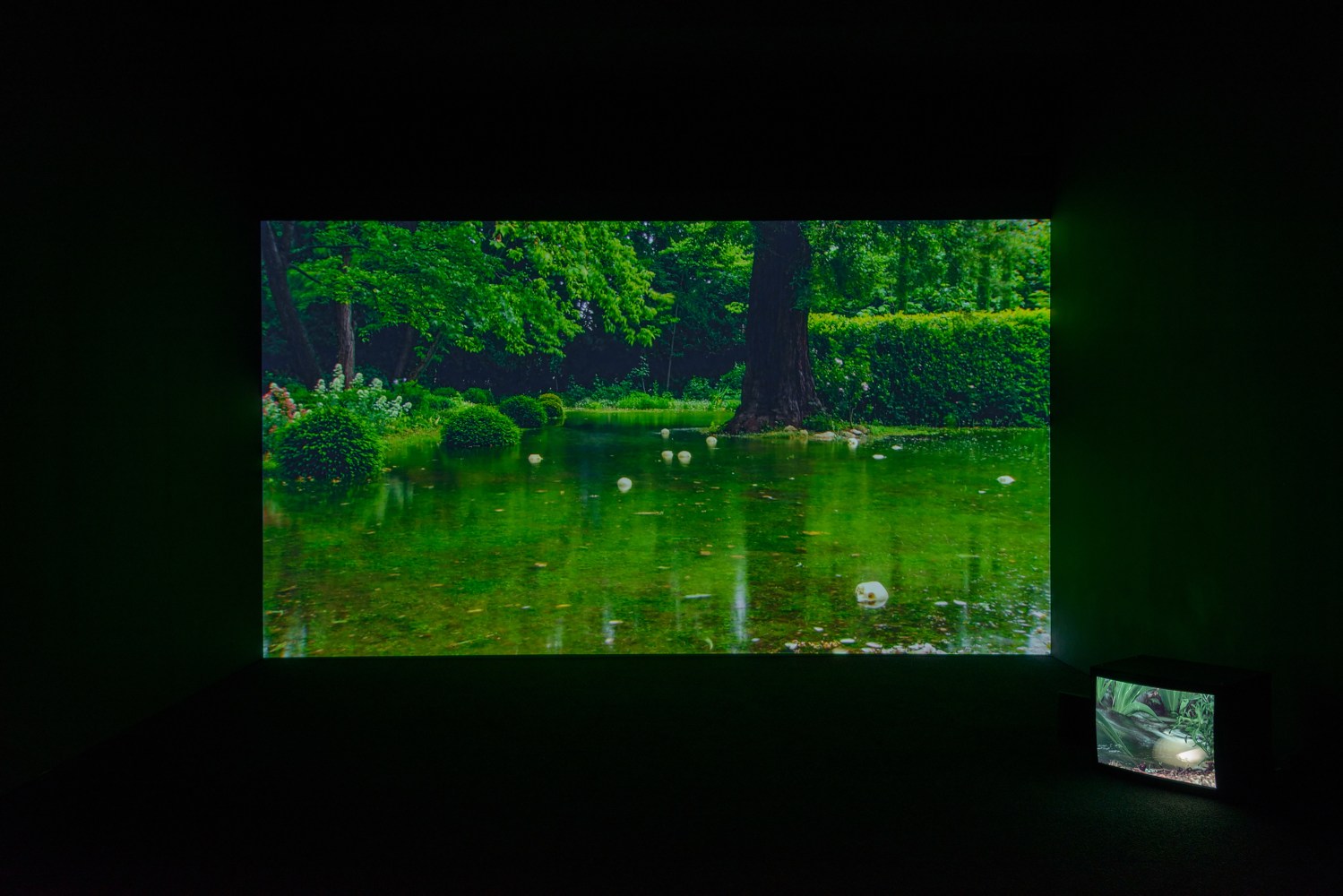 Installation view of video work by Douglas Gordon