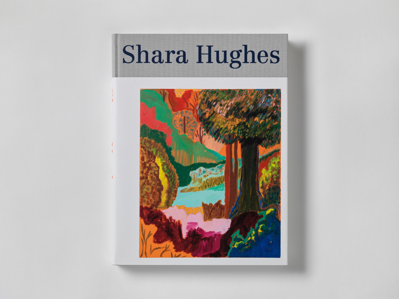 大量入荷 Hughes Shara - Presenhuber Eva Galerie - Publications - 2021 画集