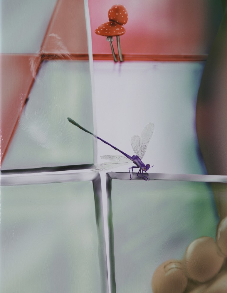 LOUISA GAGLIARDI, YVES SCHERER