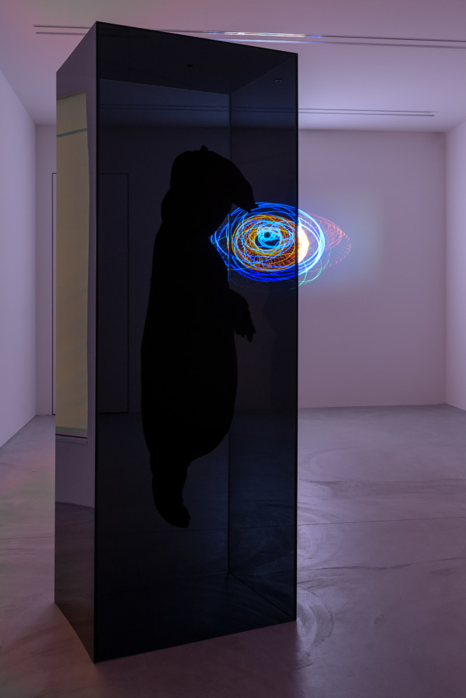 Peter Fischli David Weiss