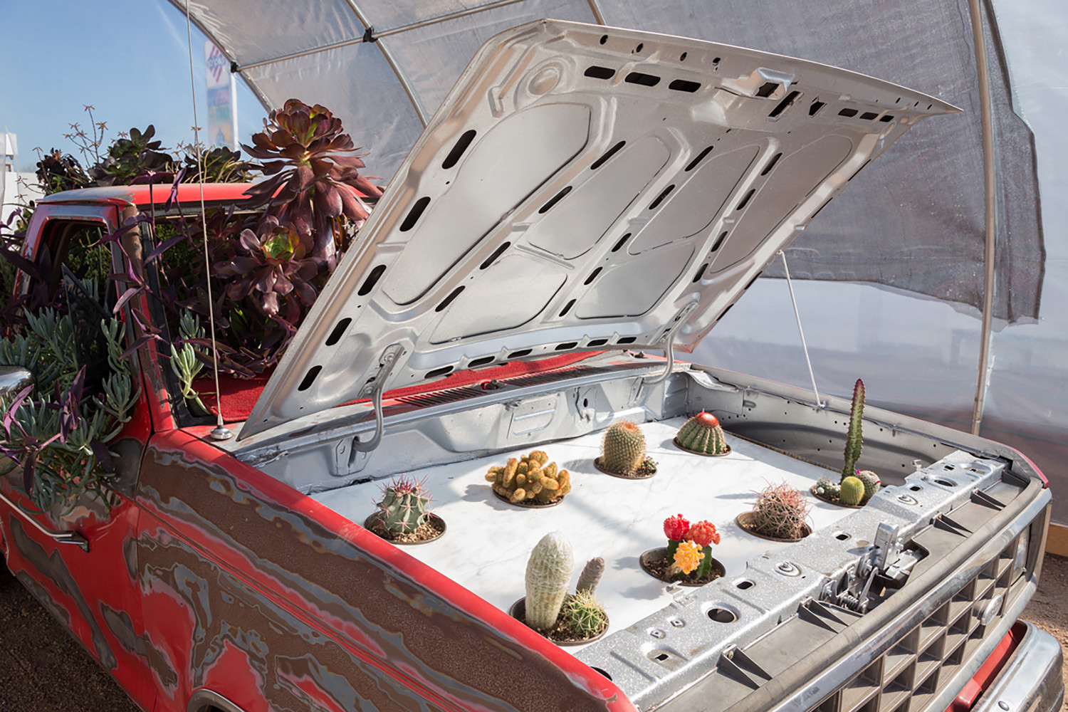 Installation view of works by Sam Falls