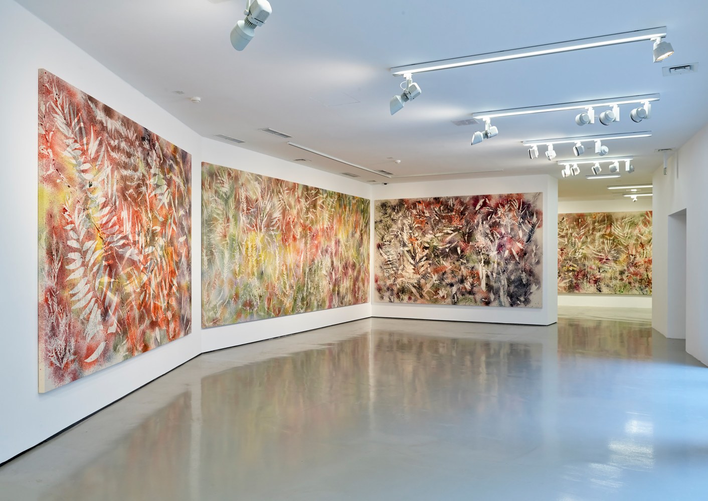 Installation view of paintings by Sam Falls