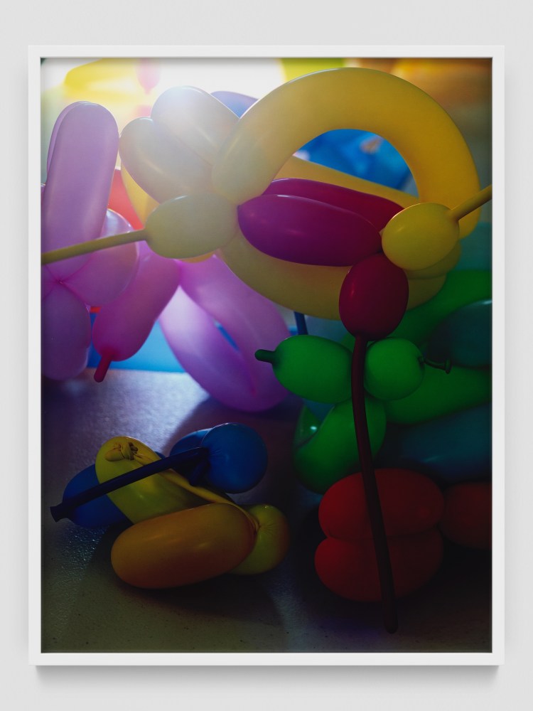 BACKLIT BALLOONS

2018-2020

Chromogenic print, Kodak Endura paper, framed

Edition of 3&amp;nbsp;+ 1 AP

Image 105 x 80 cm / 41 3/8 x 31 1/2 inches

RODLA47261