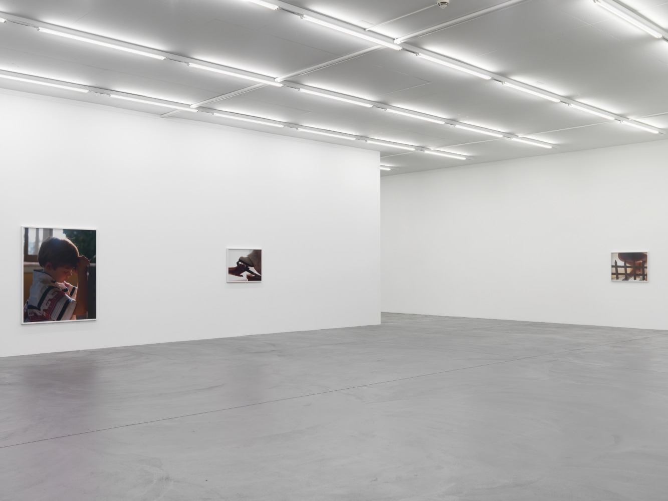Installation view of Torbjørn Rødland photography exhibition