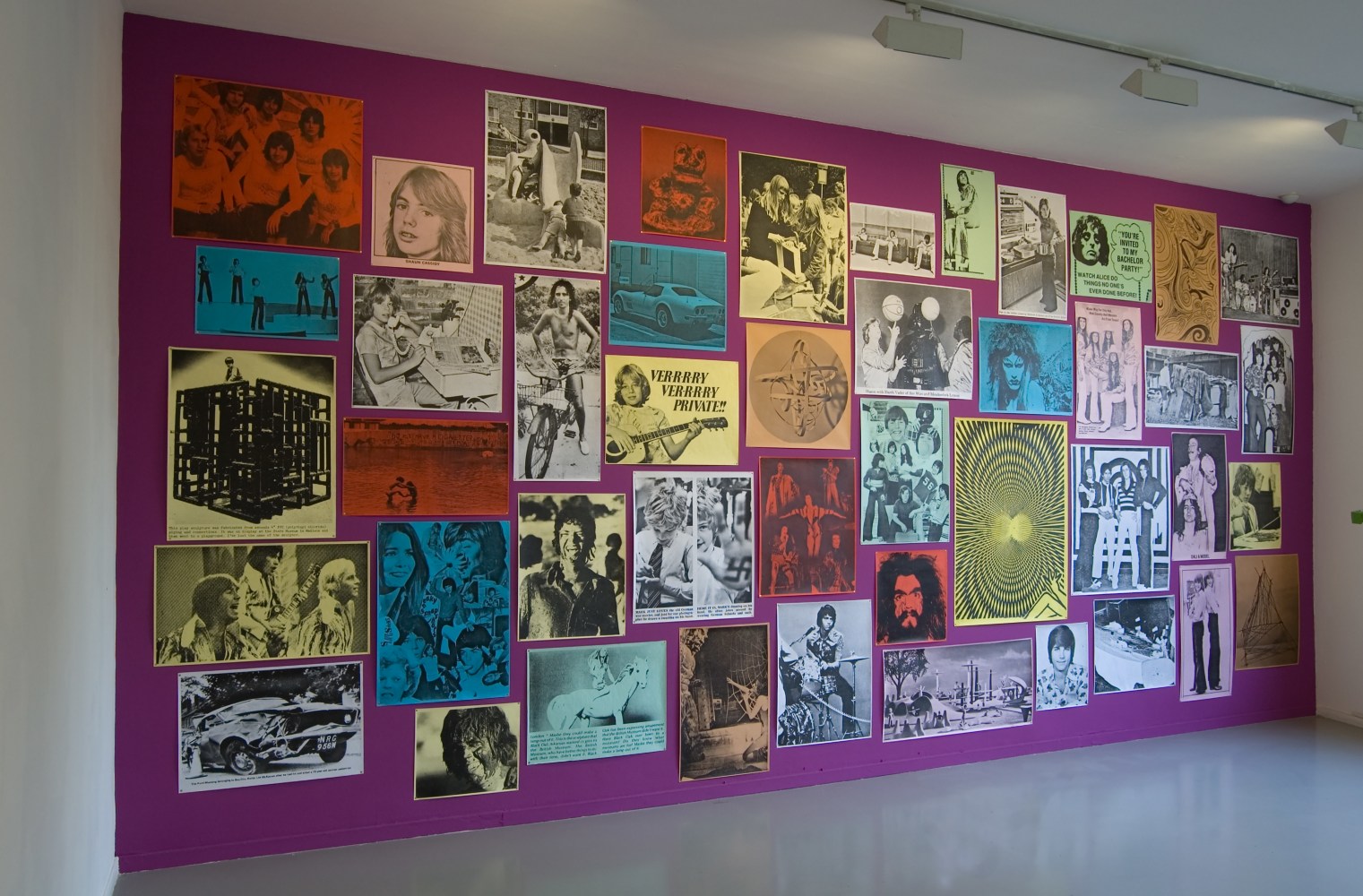 Installation view of works by Steven Shearer