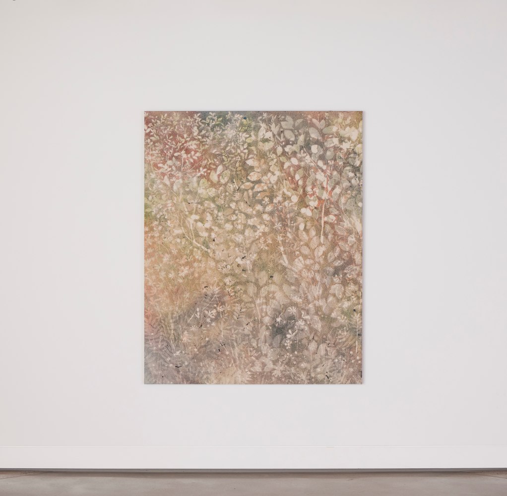 Installation view, Sam Falls, Nothing Without Nature, Cookie Factory, Denver, 2025