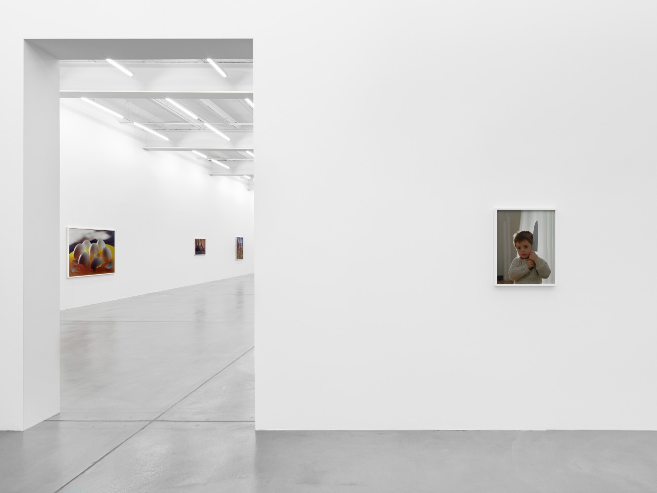 TORBJØRN RØDLAND - OLD SHEP - Viewing Room - Galerie Eva