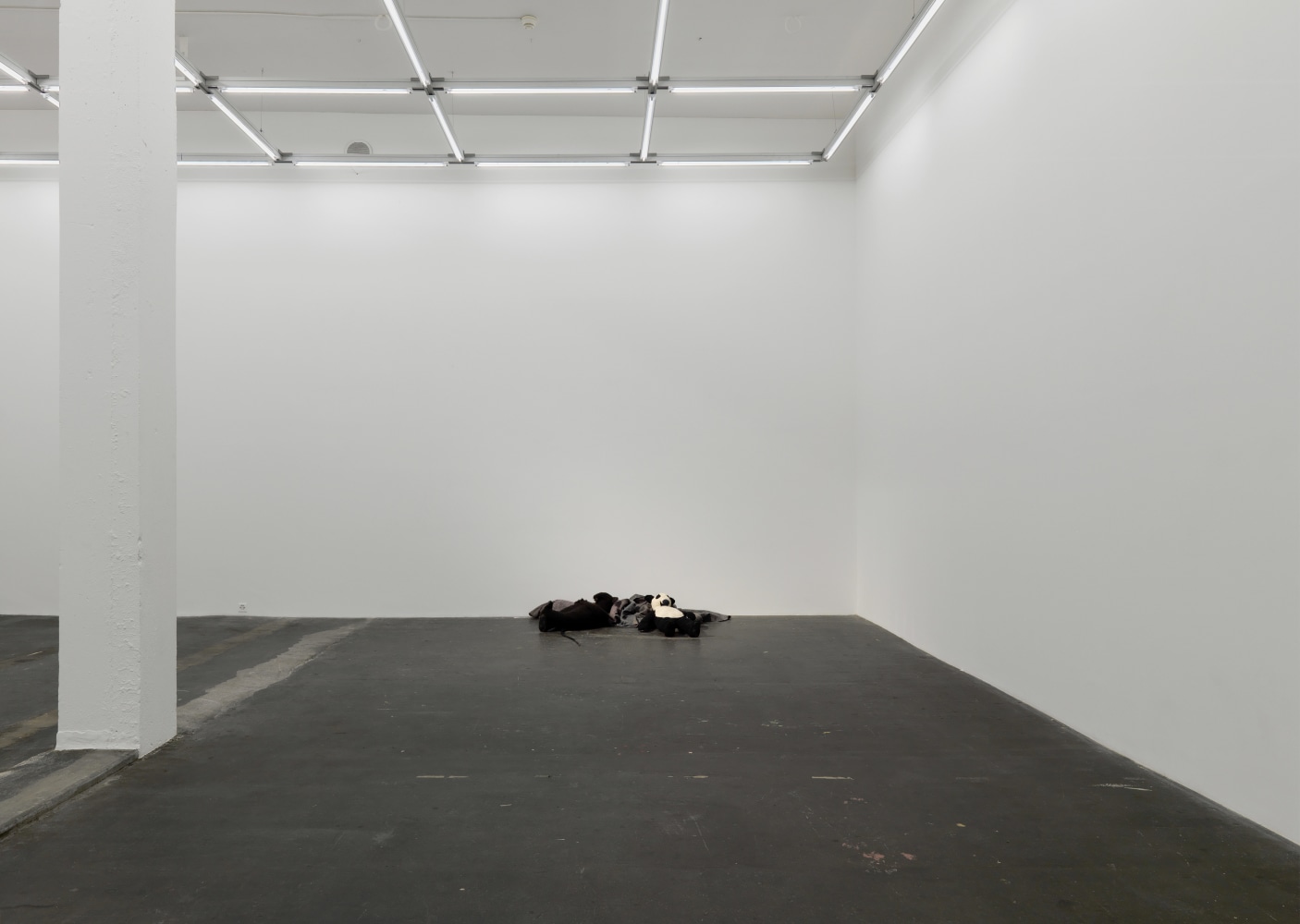 Installation view of Peter Fischli David Weiss film and sculpture exhibition