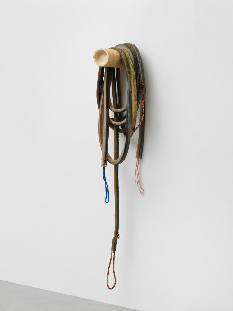 Loop 4

2021

Latex, rope, bamboo, pigment, talcum

Installation dimensions variable

&amp;copy; Liesl Raff
