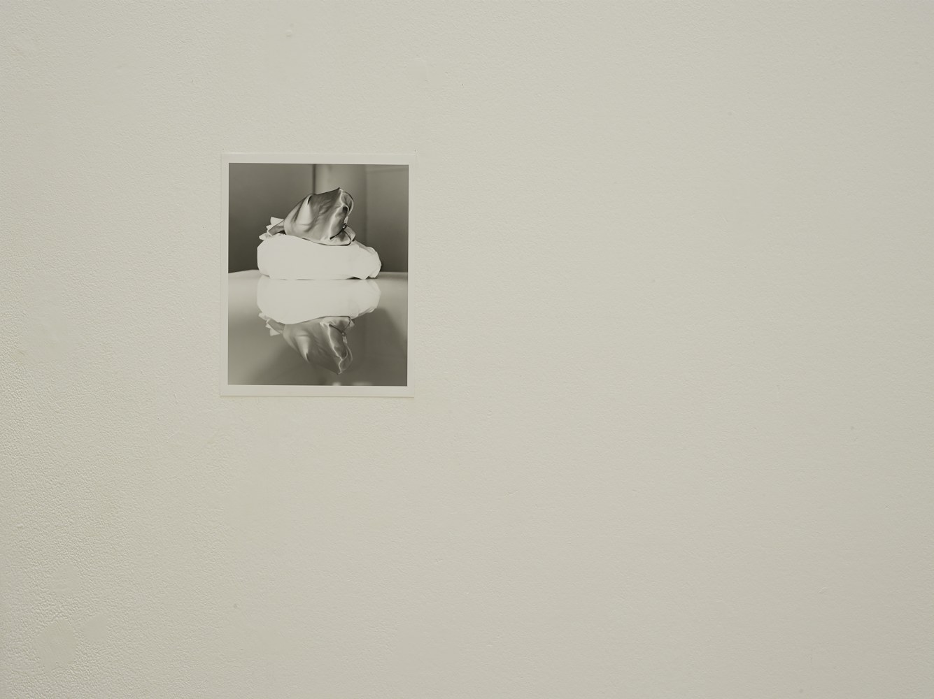 Installation view of works by Trisha Donnelly