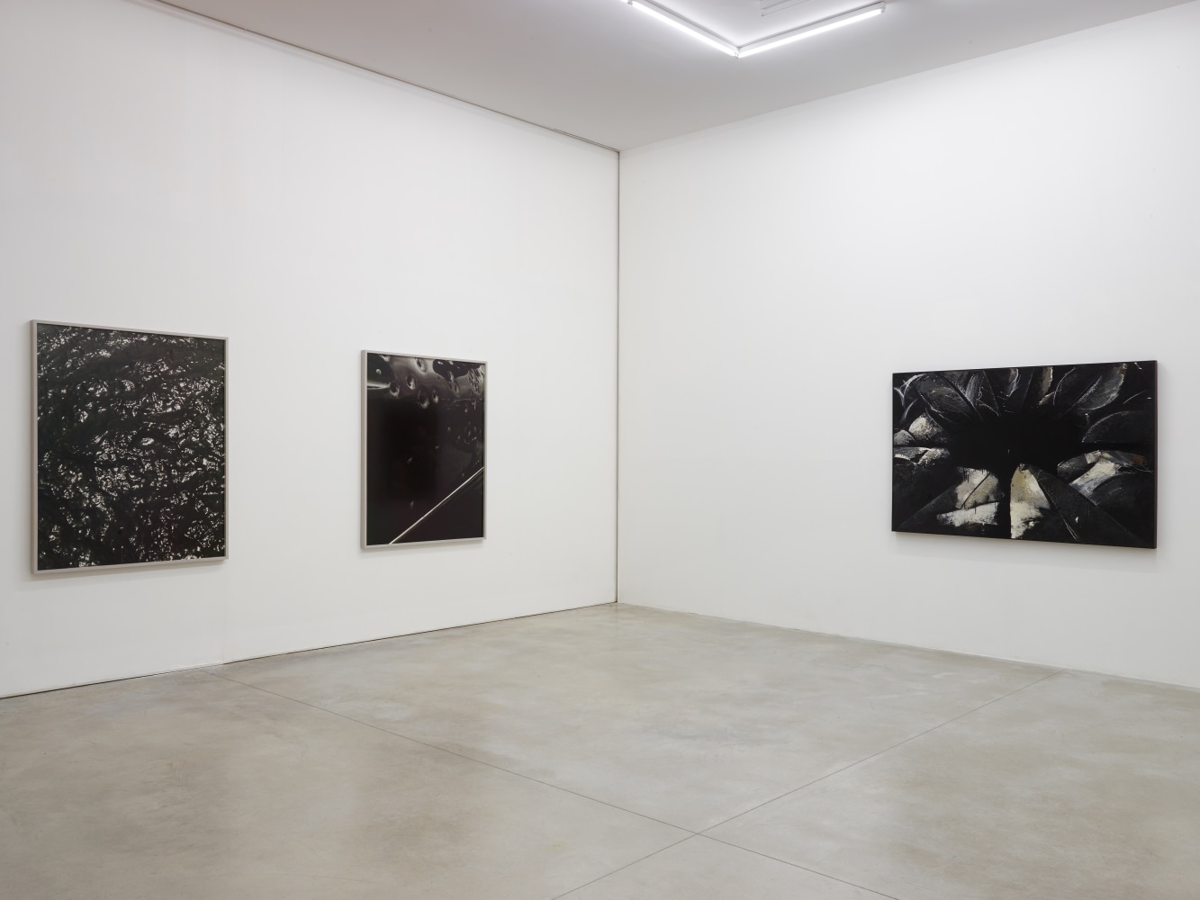 Installation view of works by various artists