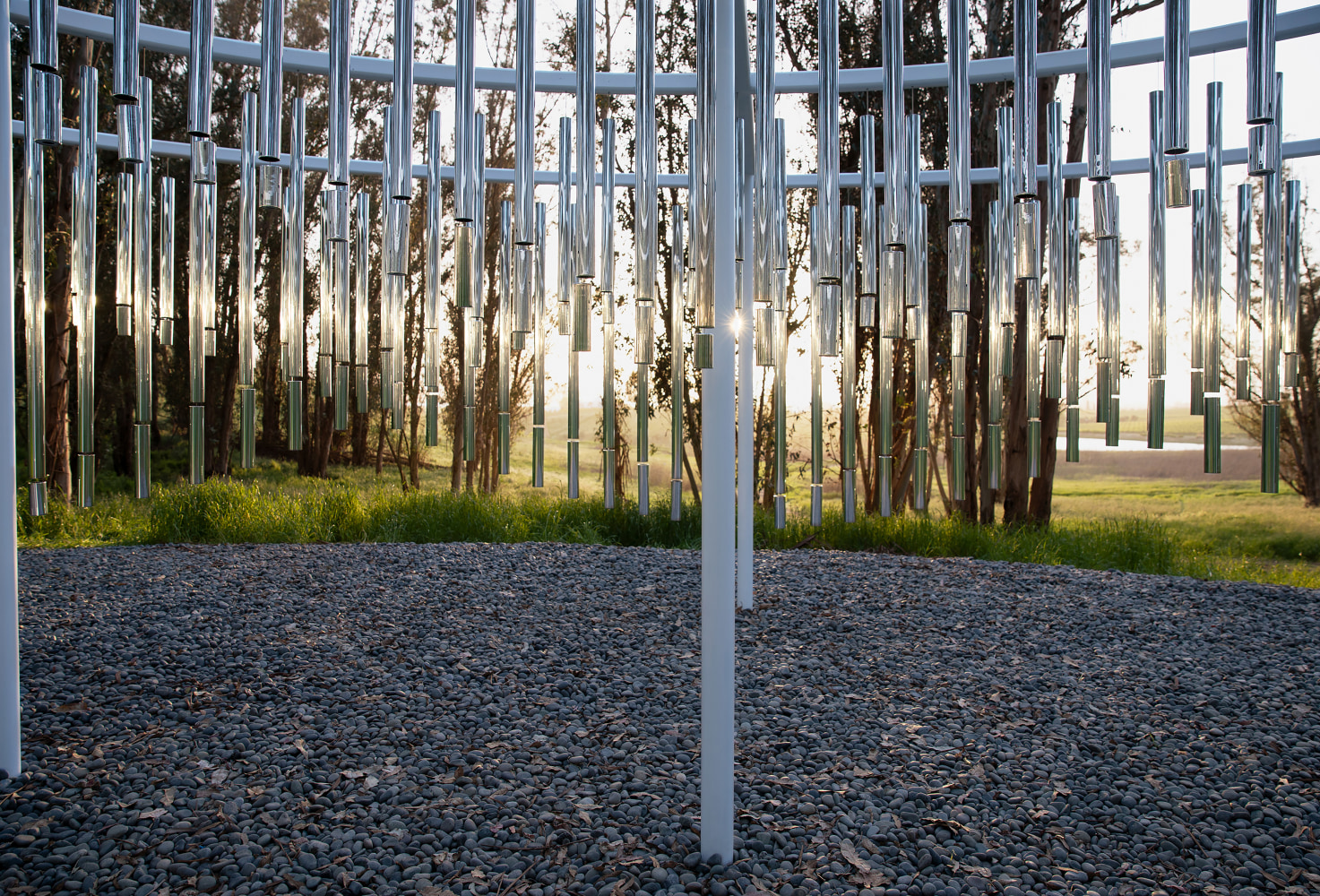 Installation view of living art installation by Doug Aitken