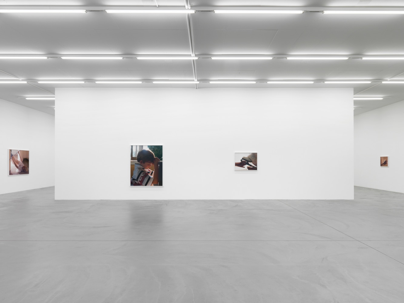 Installation view of Torbjørn Rødland photography exhibition