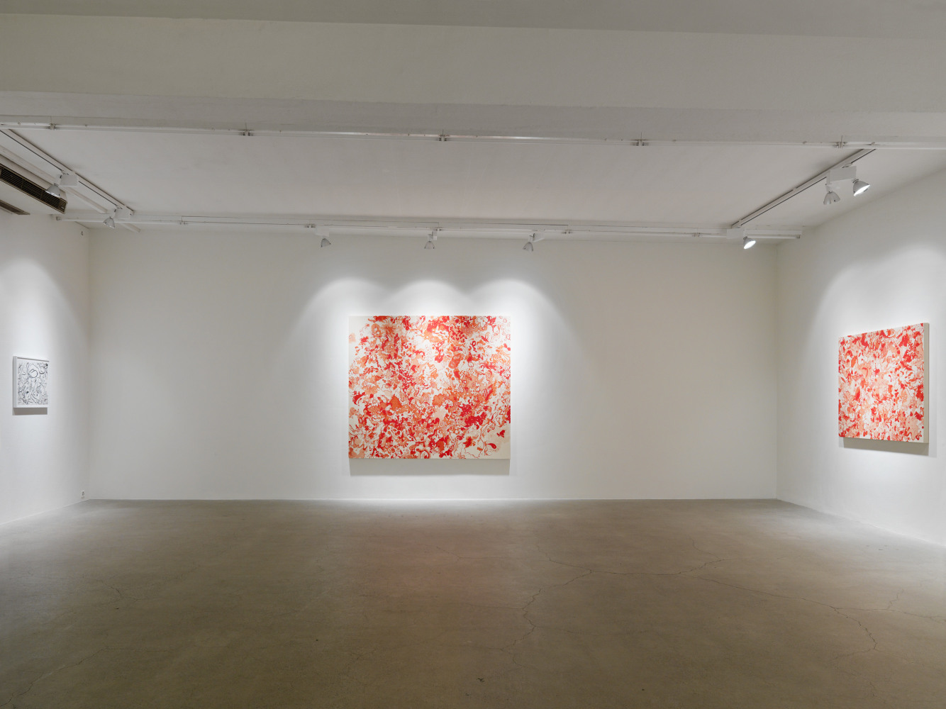 Installation view of Sue Williams painting exhibition