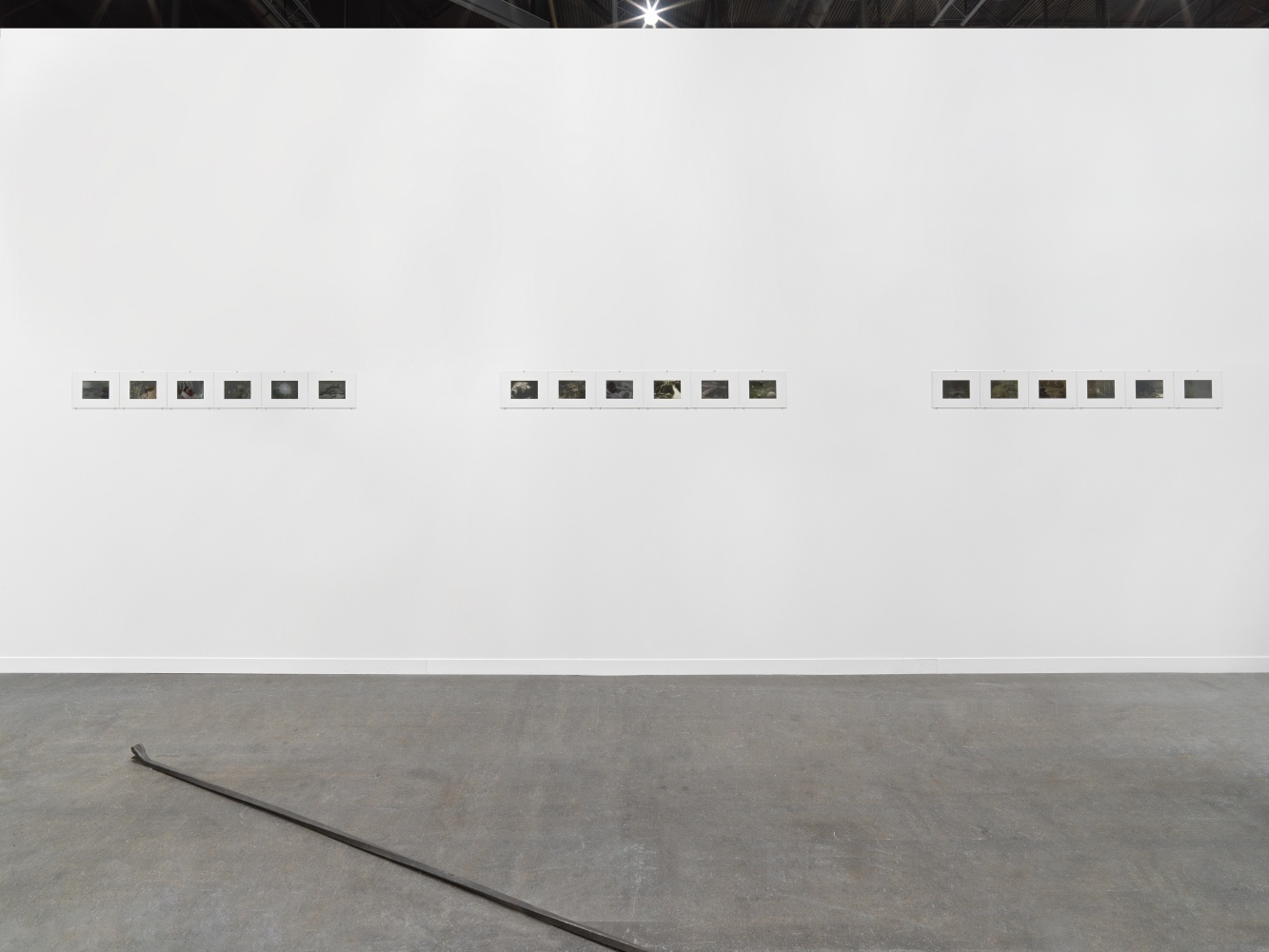 Installation view of photographs by Peter Fischli and David Weiss