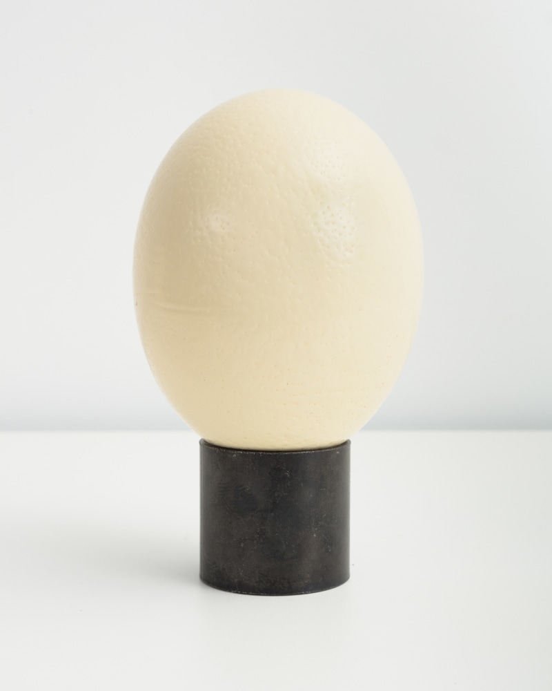 Egg sculpture by Sarah Ortmeyer