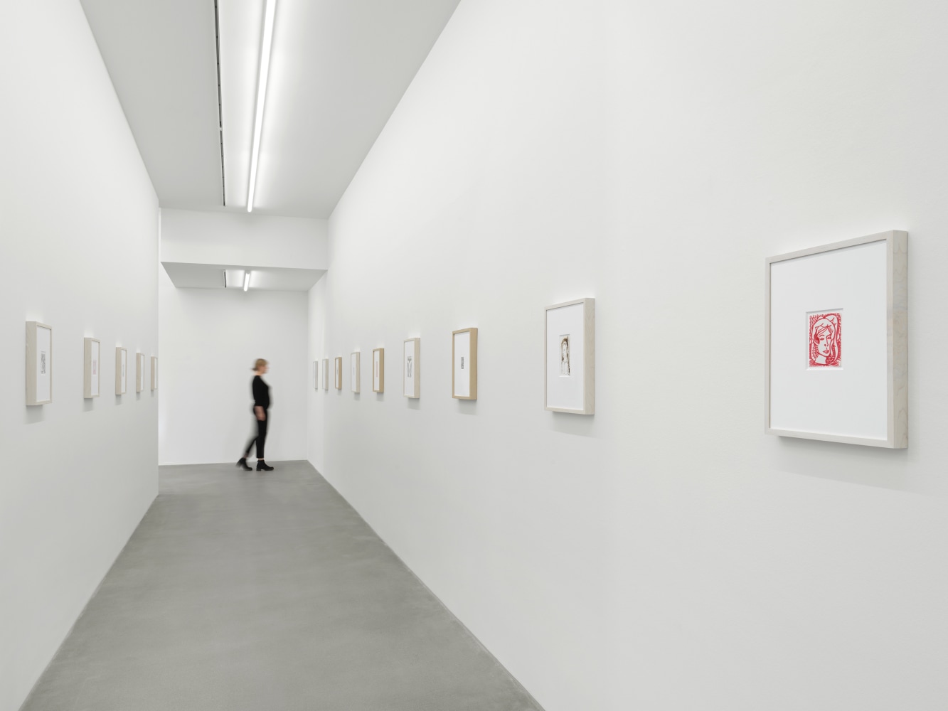 Installation view of drawings by Steven Shearer