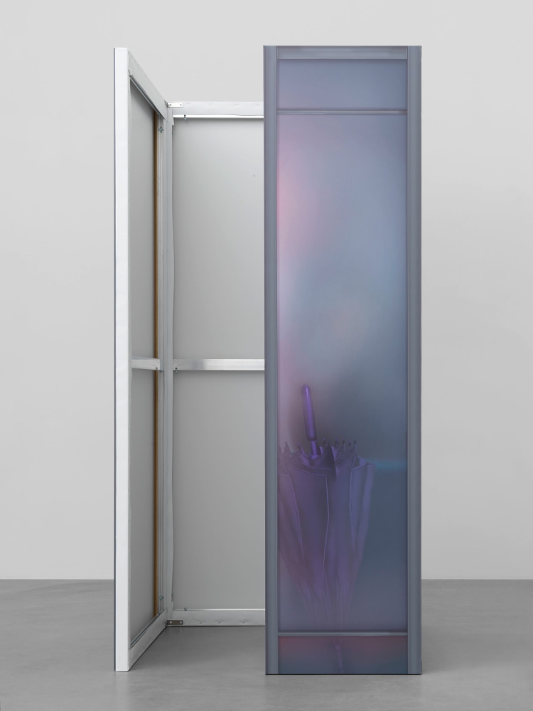 Fumoir

2025

Ink on PVC; 4 parts

Total dims. 200 x 100 x 110 cm / 78 3/4 x 39 3/8 x 43 1/4 in

&amp;copy; Louisa Gagliardi