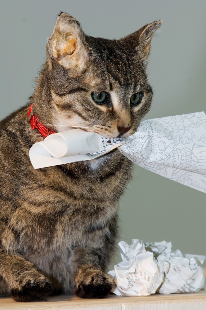 Installation view of sculptures by Liam Gillick