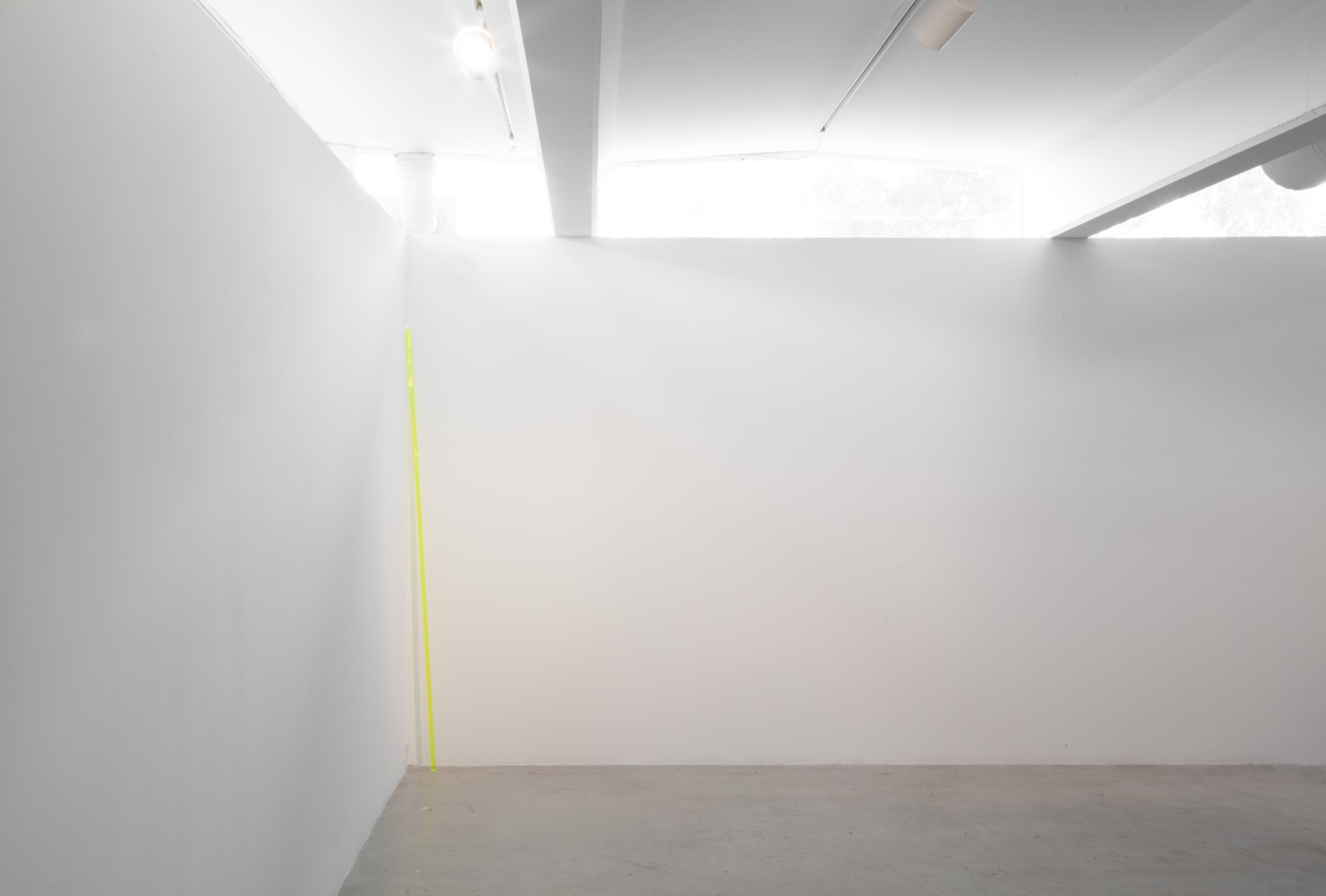 Installation view of wall works by Gerwald Rockenschaub