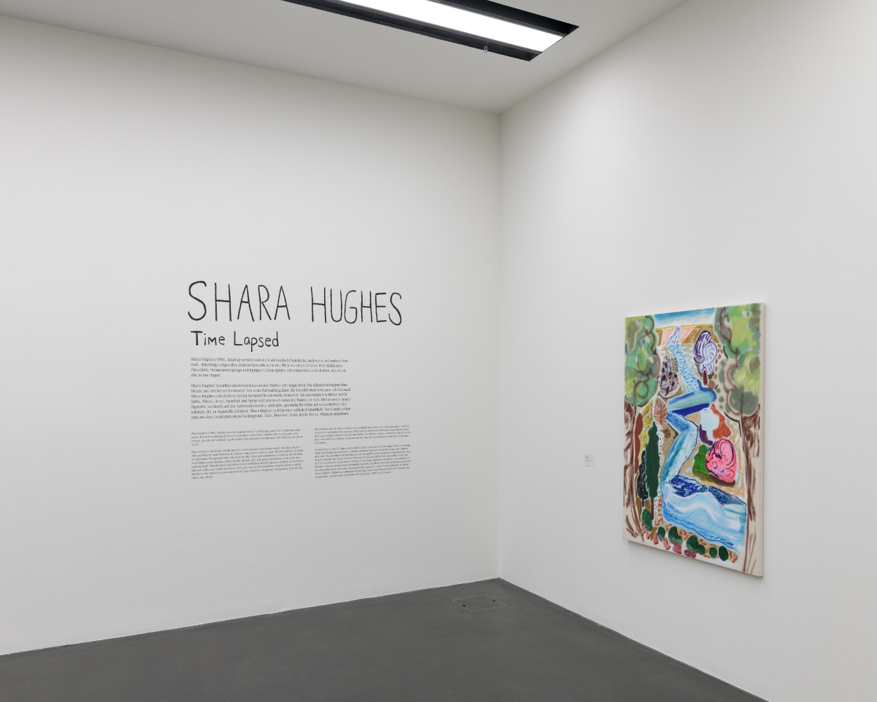 installation view of colorful paintings by Shara Hughes