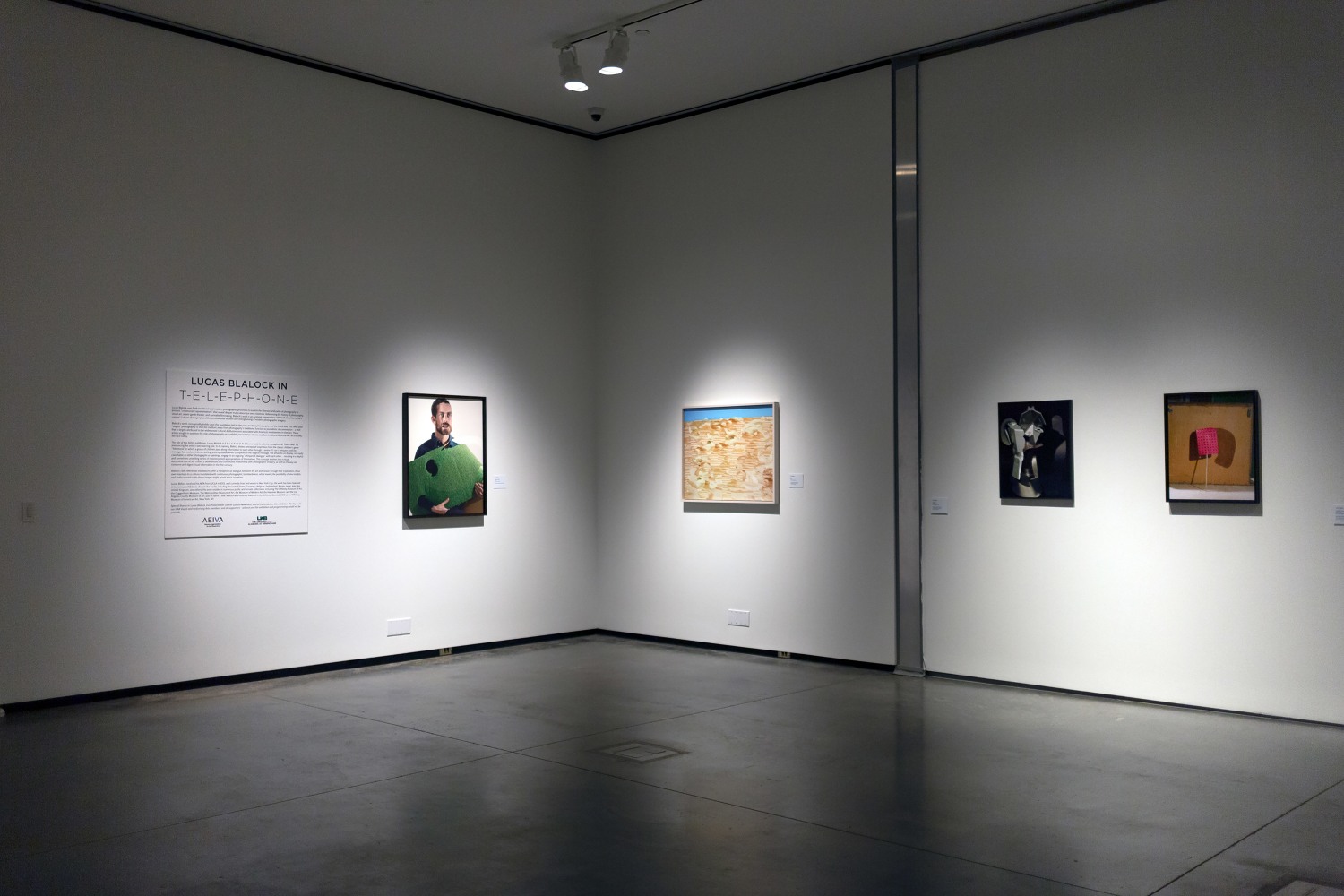 Installation view of Works by Lucas Blalock