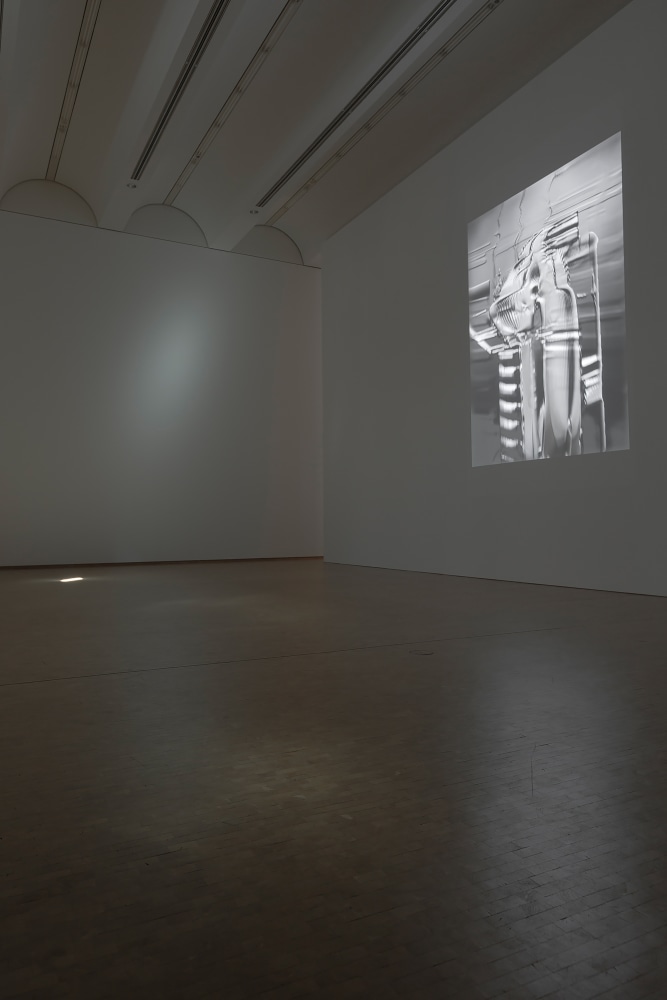 Installation view of videos and sculptures by Trisha Donnelly