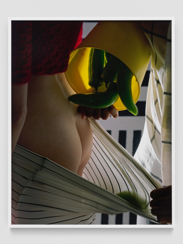 ANAHEIM PEPPERS

2019

Chromogenic print on Kodak Endura paper, framed

Edition of 3&amp;nbsp;+ 1 AP

Image 140 x 110 cm / 55 1/8 x 43 1/4 inches

RODLA47262