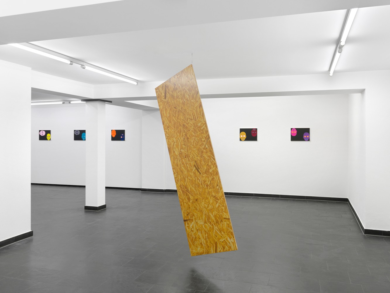 Installation view Valentin Carron